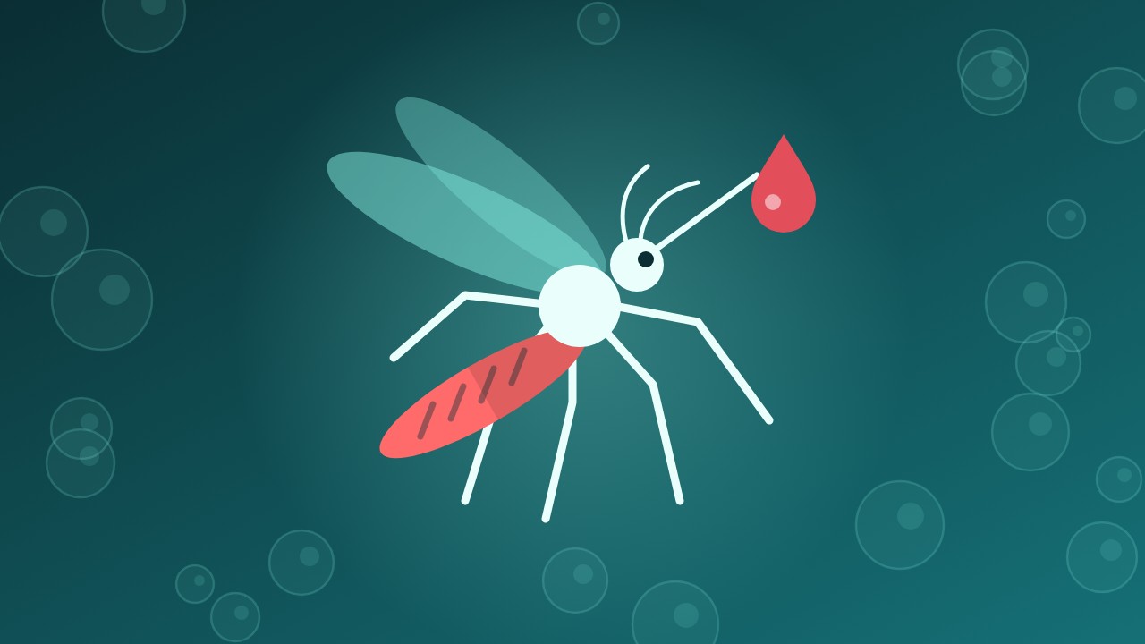 Quick takes: NWS-related border reopening, dengue in Florida, NIH PubMed tool, sprout recall, more polio